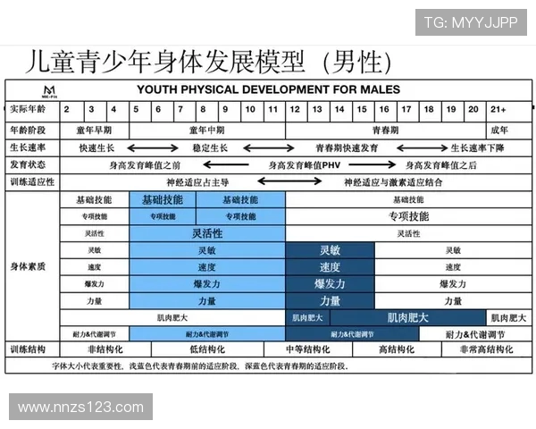全面提升青少年体能的创新体育运动实践与健康成长策略指南方案汇