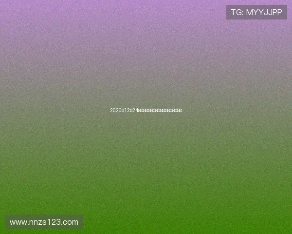 2020年12月24日鹈鹕与猛龙精彩对决全场录像回放分析